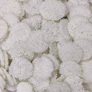 Coin sabudana papad