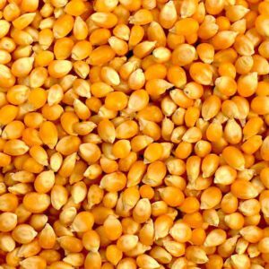 Pop corn